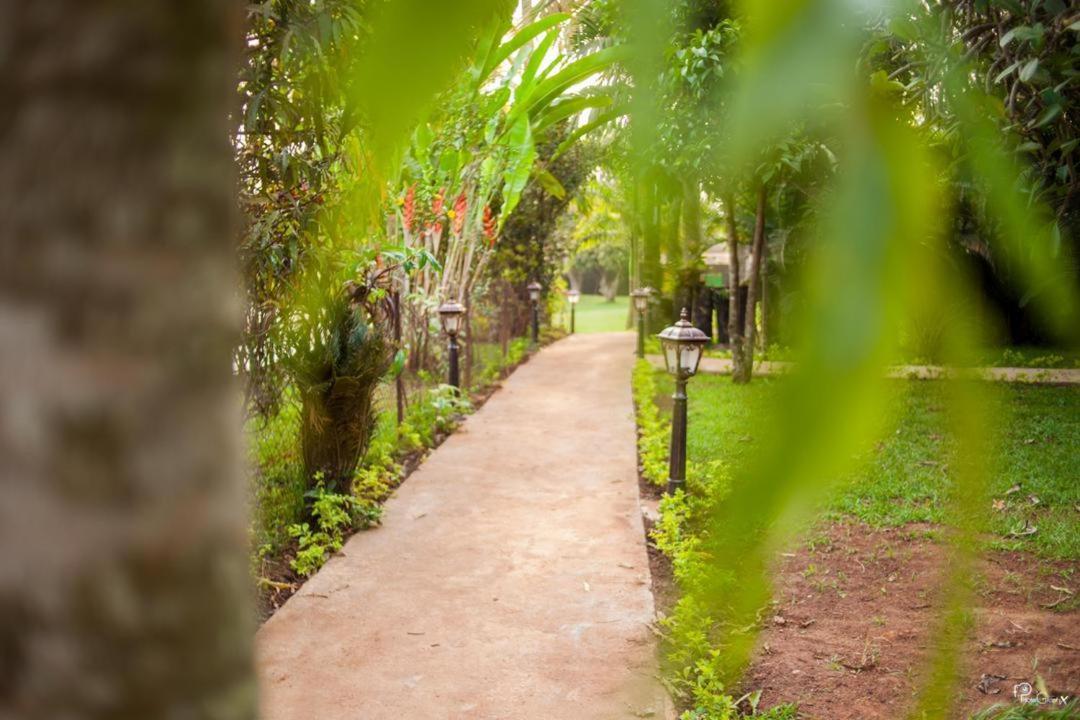 Village Noah Yaounde Luaran gambar